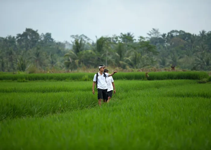 Villa The Samaya Ubud